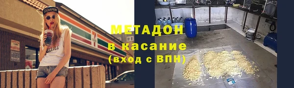 индика Алексин