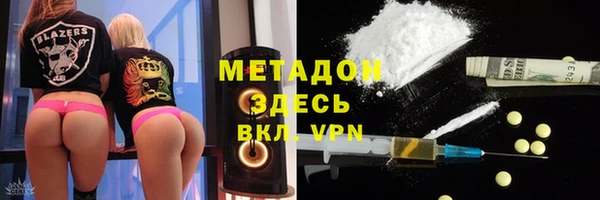 индика Алексин