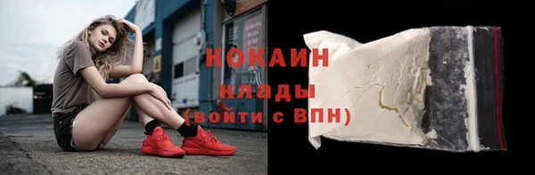 индика Алексин