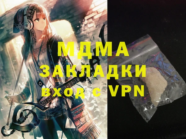индика Алексин