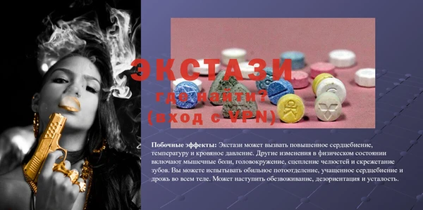индика Алексин
