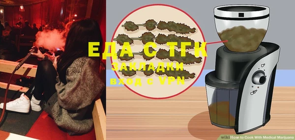 индика Алексин