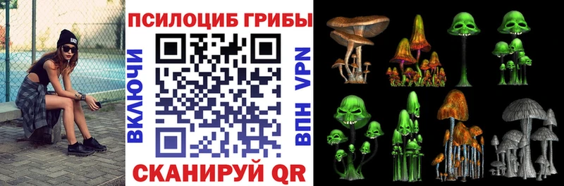 Галлюциногенные грибы Psilocybe  Красноуральск 